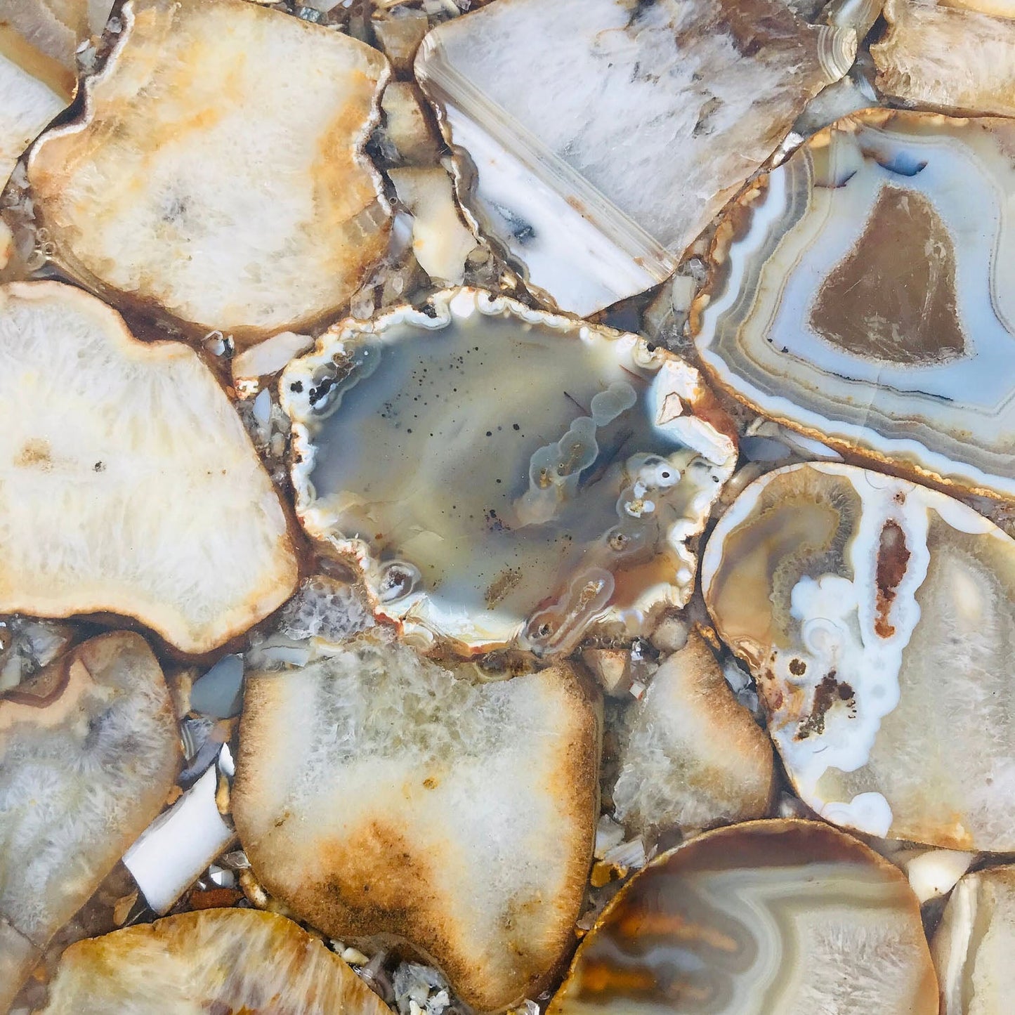 Golden Agate Round Edge Side/Coffee Table