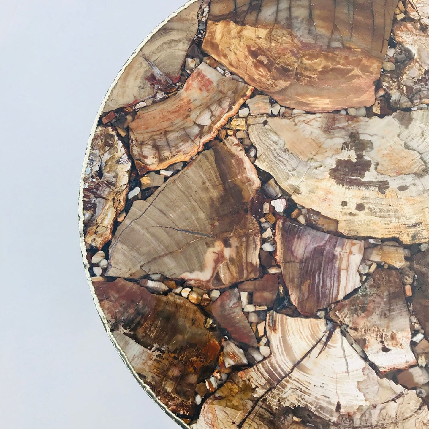 Petrified Wood Agate Round Edge Side/Coffee Table