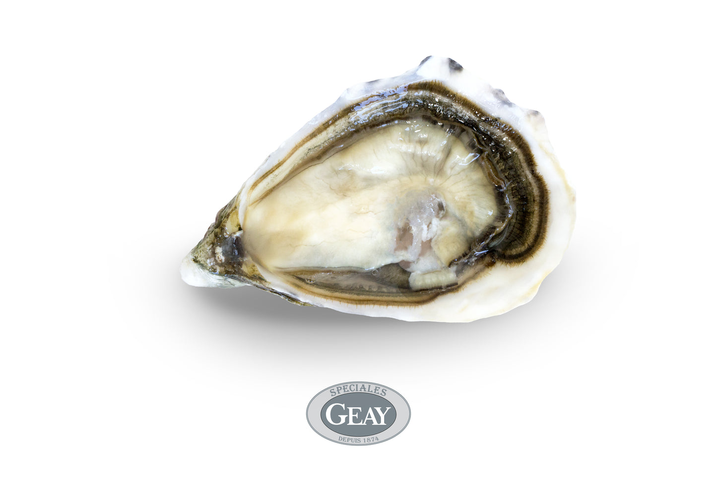 Special GEAY Oysters