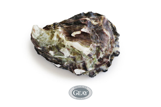 Special GEAY Oysters