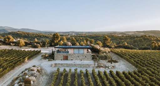 Organic Orange Sparkling Wine